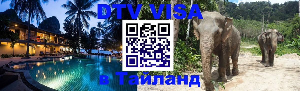 Оформление DTV визы под ключ: стоимость и тарифы, только загранпаспорт - Нижнекамск  19.11.2025 